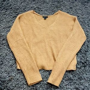 Wild Fable Fall Sweater